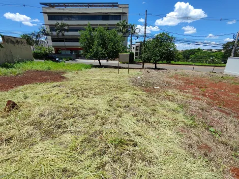 imagem 5 - Terreno de 250m² à venda - Jardim Botânico imagem 5 - Terreno de 250m² à venda - Jardim Botânico