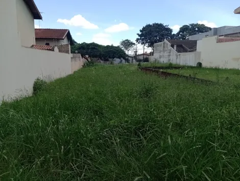 imagem 2 - Terreno de 300m² à venda - Jardim Califórnia imagem 2 - Terreno de 300m² à venda - Jardim Califórnia