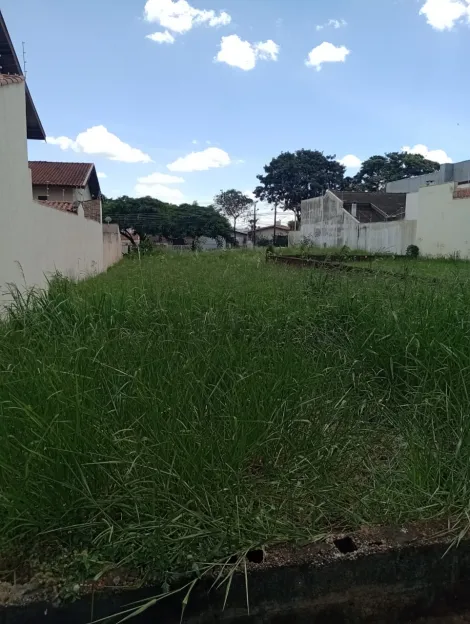 imagem 3 - Terreno de 300m² à venda - Jardim Califórnia imagem 3 - Terreno de 300m² à venda - Jardim Califórnia