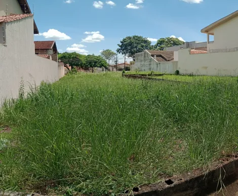 imagem 4 - Terreno de 300m² à venda - Jardim Califórnia imagem 4 - Terreno de 300m² à venda - Jardim Califórnia