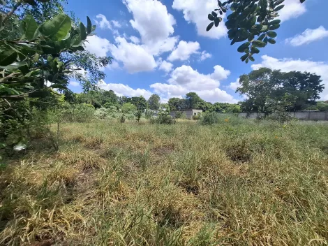 imagem 4 - Terreno de 5.000m² à venda em condomínio - Recreio Internacional imagem 4 - Terreno de 5.000m² à venda em condomínio - Recreio Internacional