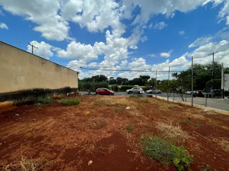 imagem 5 - Terreno de 360m² para locação - Nova Aliança imagem 5 - Terreno de 360m² para locação - Nova Aliança