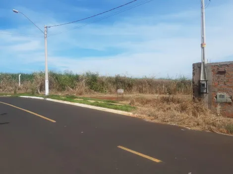 imagem 3 - Terreno de 312m² à venda - Jardim Cristo Redentor imagem 3 - Terreno de 312m² à venda - Jardim Cristo Redentor