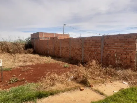 imagem 1 - Terreno de 312m² à venda - Jardim Cristo Redentor imagem 1 - Terreno de 312m² à venda - Jardim Cristo Redentor