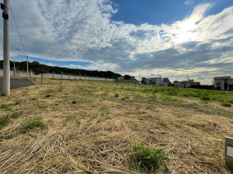 imagem 3 - Terreno de 250m² à venda - Quinta da Mata imagem 3 - Terreno de 250m² à venda - Quinta da Mata