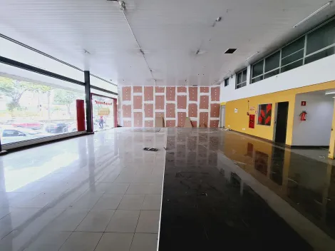 imagem 3 - Loja comercial de 750m² com 04 banheiros para locação - Jardim Macedo imagem 3 - Loja comercial de 750m² com 04 banheiros para locação - Jardim Macedo