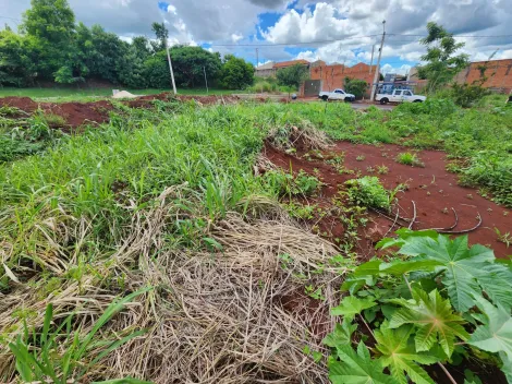imagem 4 - Terreno de 250m² à venda - Bonfim Paulista imagem 4 - Terreno de 250m² à venda - Bonfim Paulista