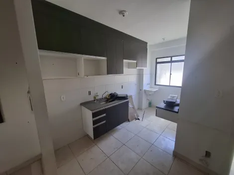 imagem 5 - Apartamento térreo de 42m² com 02 quartos para locação e venda - Recanto das Palmeiras imagem 5 - Apartamento térreo de 42m² com 02 quartos para locação e venda - Recanto das Palmeiras