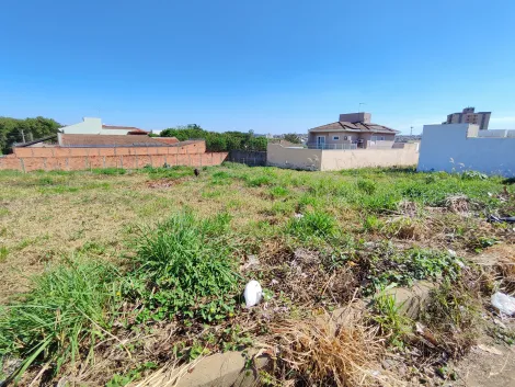 imagem 4 - Terreno misto de 292m² à venda - Alto da Boa Vista imagem 4 - Terreno misto de 292m² à venda - Alto da Boa Vista