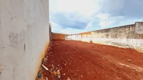 imagem 4 - Terreno de 270m² para venda e locação - Jardim São Sebastião em Sertãozinho imagem 4 - Terreno de 270m² para venda e locação - Jardim São Sebastião em Sertãozinho