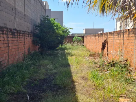 imagem 2 - Terreno de 272m² à venda - Jardim Zara imagem 2 - Terreno de 272m² à venda - Jardim Zara