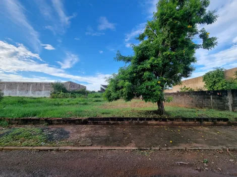 imagem 2 - Terreno comercial de 340m² à venda - Vila Brasil imagem 2 - Terreno comercial de 340m² à venda - Vila Brasil