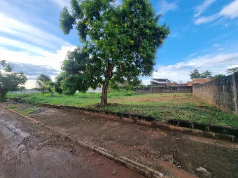 imagem 3 - Terreno comercial de 340m² à venda - Vila Brasil imagem 3 - Terreno comercial de 340m² à venda - Vila Brasil