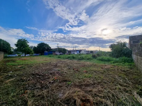 imagem 4 - Terreno comercial de 340m² à venda - Vila Brasil imagem 4 - Terreno comercial de 340m² à venda - Vila Brasil