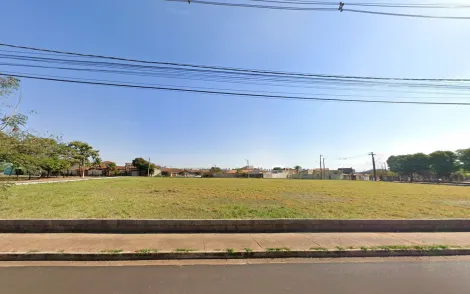 imagem 4 - Terreno de 3.993m² à venda - Residencial Jequitibá imagem 4 - Terreno de 3.993m² à venda - Residencial Jequitibá