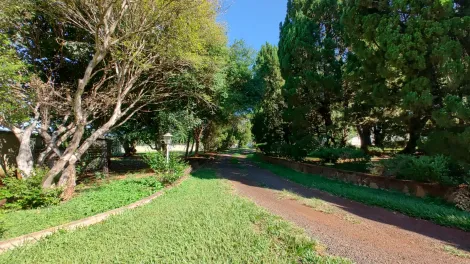 imagem 3 - Exclusividade - Chácara de 14.994m² com 03 casas e área de lazer completa à venda - Bonfim Paulista imagem 3 - Exclusividade - Chácara de 14.994m² com 03 casas e área de lazer completa à venda - Bonfim Paulista