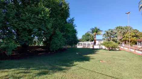 imagem 5 - Exclusividade - Chácara de 14.994m² com 03 casas e área de lazer completa à venda - Bonfim Paulista imagem 5 - Exclusividade - Chácara de 14.994m² com 03 casas e área de lazer completa à venda - Bonfim Paulista