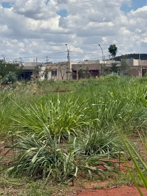 imagem 3 - Terreno de 630m² à venda - Santa Iria imagem 3 - Terreno de 630m² à venda - Santa Iria