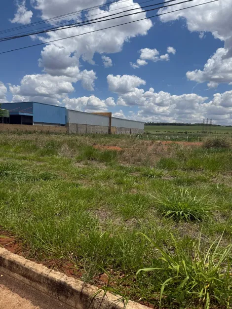 imagem 5 - Terreno de 630m² à venda - Santa Iria imagem 5 - Terreno de 630m² à venda - Santa Iria