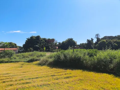 imagem 5 - Chácara de 209m² com 5.000m² de terreno à venda em condomínio - Sítio Panorama imagem 5 - Chácara de 209m² com 5.000m² de terreno à venda em condomínio - Sítio Panorama