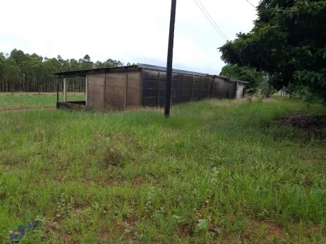 imagem 2 - Fazenda de 90 hectares com 03 casas e 02 minas d`água à venda - Sacramento/MG imagem 2 - Fazenda de 90 hectares com 03 casas e 02 minas d`água à venda - Sacramento/MG