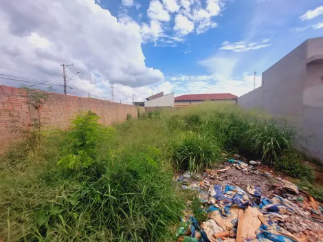 imagem 2 - Terreno de 264m² à venda - Jardim Santa Paula em Sertãozinho imagem 2 - Terreno de 264m² à venda - Jardim Santa Paula em Sertãozinho