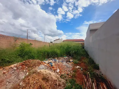 imagem 3 - Terreno de 264m² à venda - Jardim Santa Paula em Sertãozinho imagem 3 - Terreno de 264m² à venda - Jardim Santa Paula em Sertãozinho