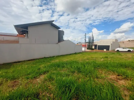 imagem 3 - Terreno de 300m² à venda - Jardim Botânico em Sertãozinho imagem 3 - Terreno de 300m² à venda - Jardim Botânico em Sertãozinho