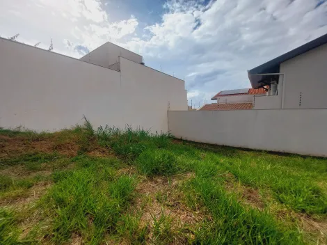 imagem 4 - Terreno de 300m² à venda - Jardim Botânico em Sertãozinho imagem 4 - Terreno de 300m² à venda - Jardim Botânico em Sertãozinho