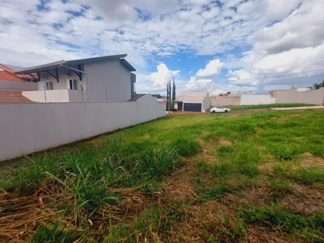 imagem 5 - Terreno de 300m² à venda - Jardim Botânico em Sertãozinho imagem 5 - Terreno de 300m² à venda - Jardim Botânico em Sertãozinho