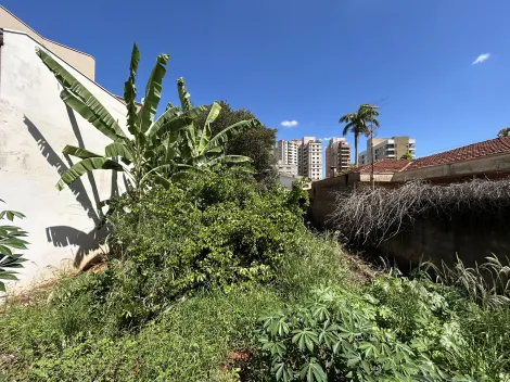 imagem 2 - Terreno de 274m² à venda - Nova Ribeirânia imagem 2 - Terreno de 274m² à venda - Nova Ribeirânia