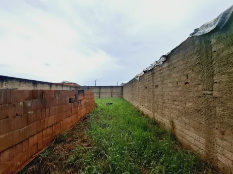 imagem 2 - Terreno - Padrão imagem 2 - Terreno - Padrão