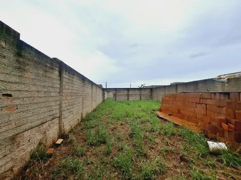 imagem 3 - Terreno - Padrão imagem 3 - Terreno - Padrão