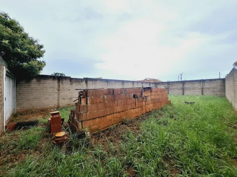 imagem 4 - Terreno - Padrão imagem 4 - Terreno - Padrão