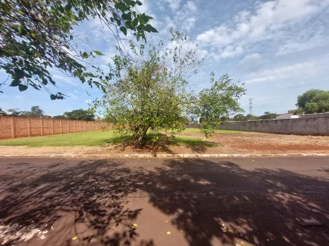 imagem 1 - Terreno com 5.000m² à venda em condomínio - Quinta da Alvorada imagem 1 - Terreno com 5.000m² à venda em condomínio - Quinta da Alvorada