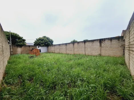 imagem 1 - Terreno - Padrão imagem 1 - Terreno - Padrão