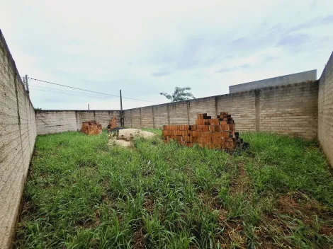 imagem 2 - Terreno - Padrão imagem 2 - Terreno - Padrão