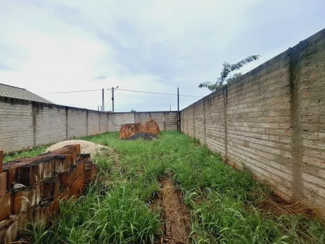 imagem 4 - Terreno - Padrão imagem 4 - Terreno - Padrão