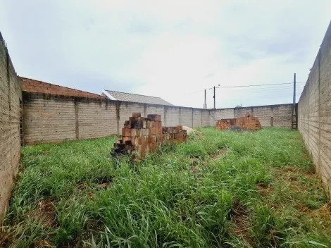 imagem 5 - Terreno - Padrão imagem 5 - Terreno - Padrão