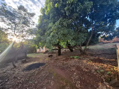 imagem 2 - Terreno amplo de 876,74m² imagem 2 - Terreno amplo de 876,74m²