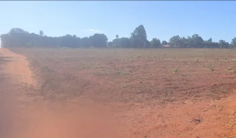 imagem 2 - Terreno com área de 300.322m² à venda - Jardim José Figueira imagem 2 - Terreno com área de 300.322m² à venda - Jardim José Figueira