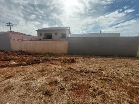 imagem 4 - Terreno de 350m² à venda - Jardim Recreio dos Bandeirantes em Sertãozinho imagem 4 - Terreno de 350m² à venda - Jardim Recreio dos Bandeirantes em Sertãozinho