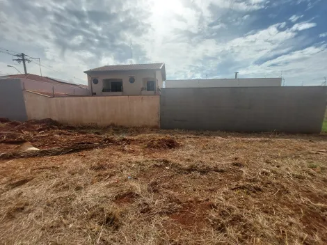 imagem 5 - Terreno de 350m² à venda - Jardim Recreio dos Bandeirantes em Sertãozinho imagem 5 - Terreno de 350m² à venda - Jardim Recreio dos Bandeirantes em Sertãozinho