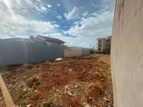imagem 2 - Terreno de 350m² à venda - Jardim Recreio dos Bandeirantes em Sertãozinho imagem 2 - Terreno de 350m² à venda - Jardim Recreio dos Bandeirantes em Sertãozinho