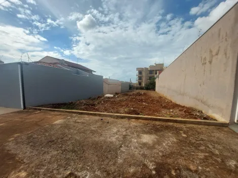 imagem 1 - Terreno de 350m² à venda - Jardim Recreio dos Bandeirantes em Sertãozinho imagem 1 - Terreno de 350m² à venda - Jardim Recreio dos Bandeirantes em Sertãozinho