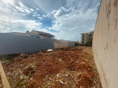imagem 3 - Terreno de 350m² à venda - Jardim Recreio dos Bandeirantes em Sertãozinho imagem 3 - Terreno de 350m² à venda - Jardim Recreio dos Bandeirantes em Sertãozinho