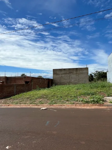 imagem 2 - Terreno de 250m² à venda - Jardim Sul em Sertãozinho imagem 2 - Terreno de 250m² à venda - Jardim Sul em Sertãozinho