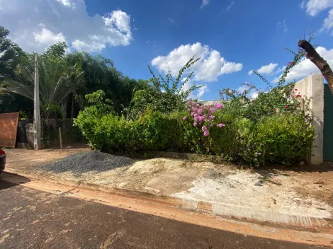 imagem 1 - Terreno de 490m² à venda - City Ribeirão imagem 1 - Terreno de 490m² à venda - City Ribeirão