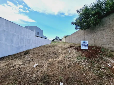 imagem 2 - Terreno de 285m² à venda - Jardim Quebec imagem 2 - Terreno de 285m² à venda - Jardim Quebec