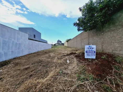 imagem 1 - Terreno de 285m² à venda - Jardim Quebec imagem 1 - Terreno de 285m² à venda - Jardim Quebec